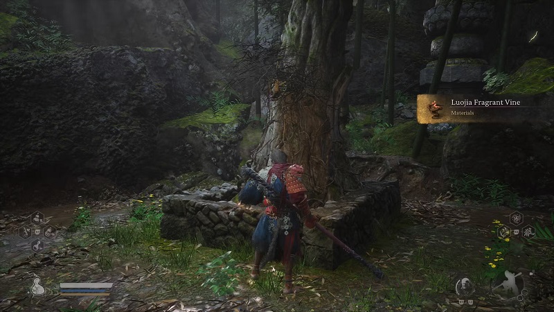 Où Trouver la Vigne Parfumée de Luojia dans Black Myth: Wukong